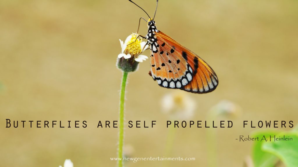 Butterflies are self propelled flowers