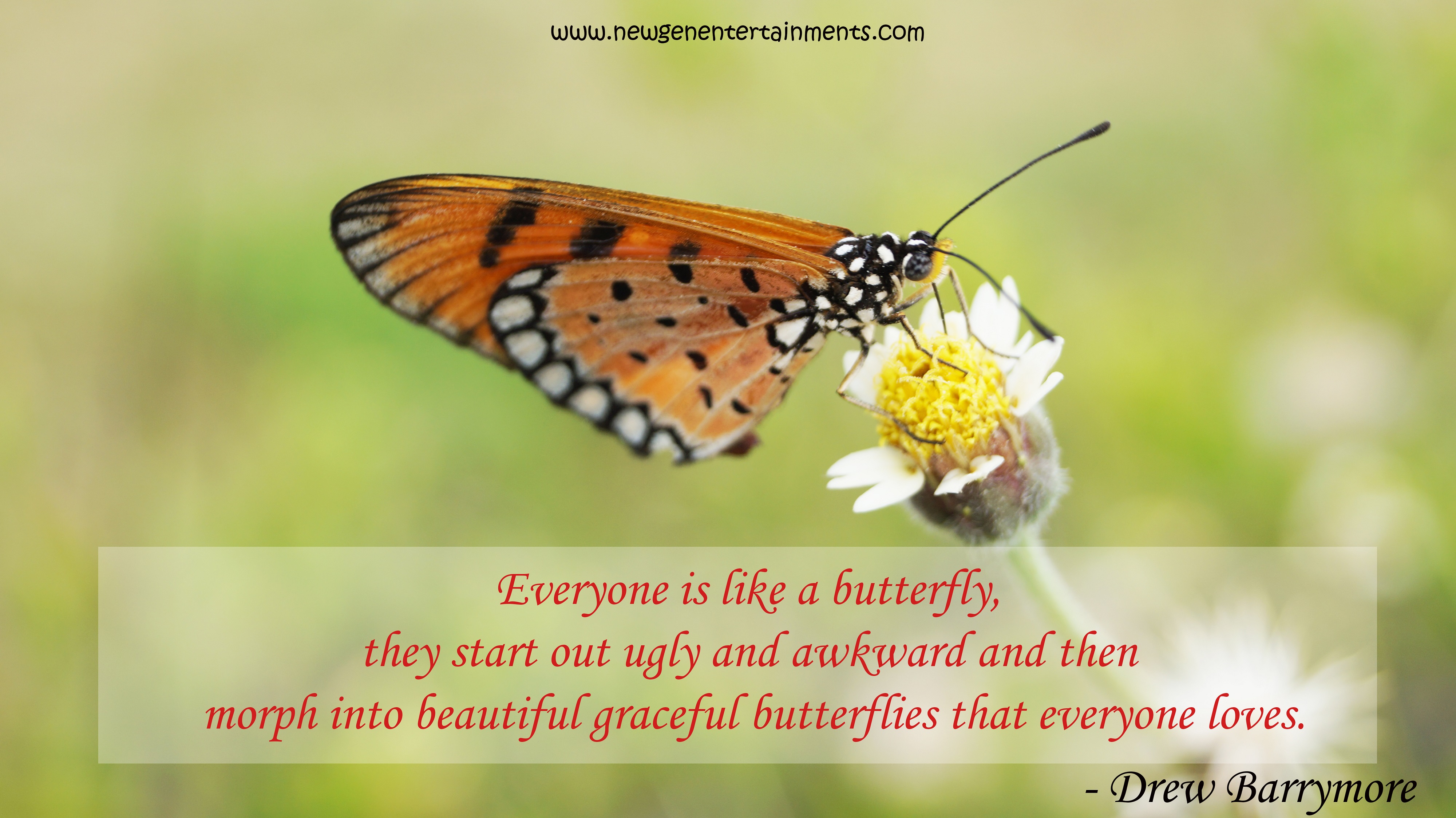 Everyone is like a butterfly, they start out ugly and awkward and then morph into beautiful graceful butterflies that everyone loves