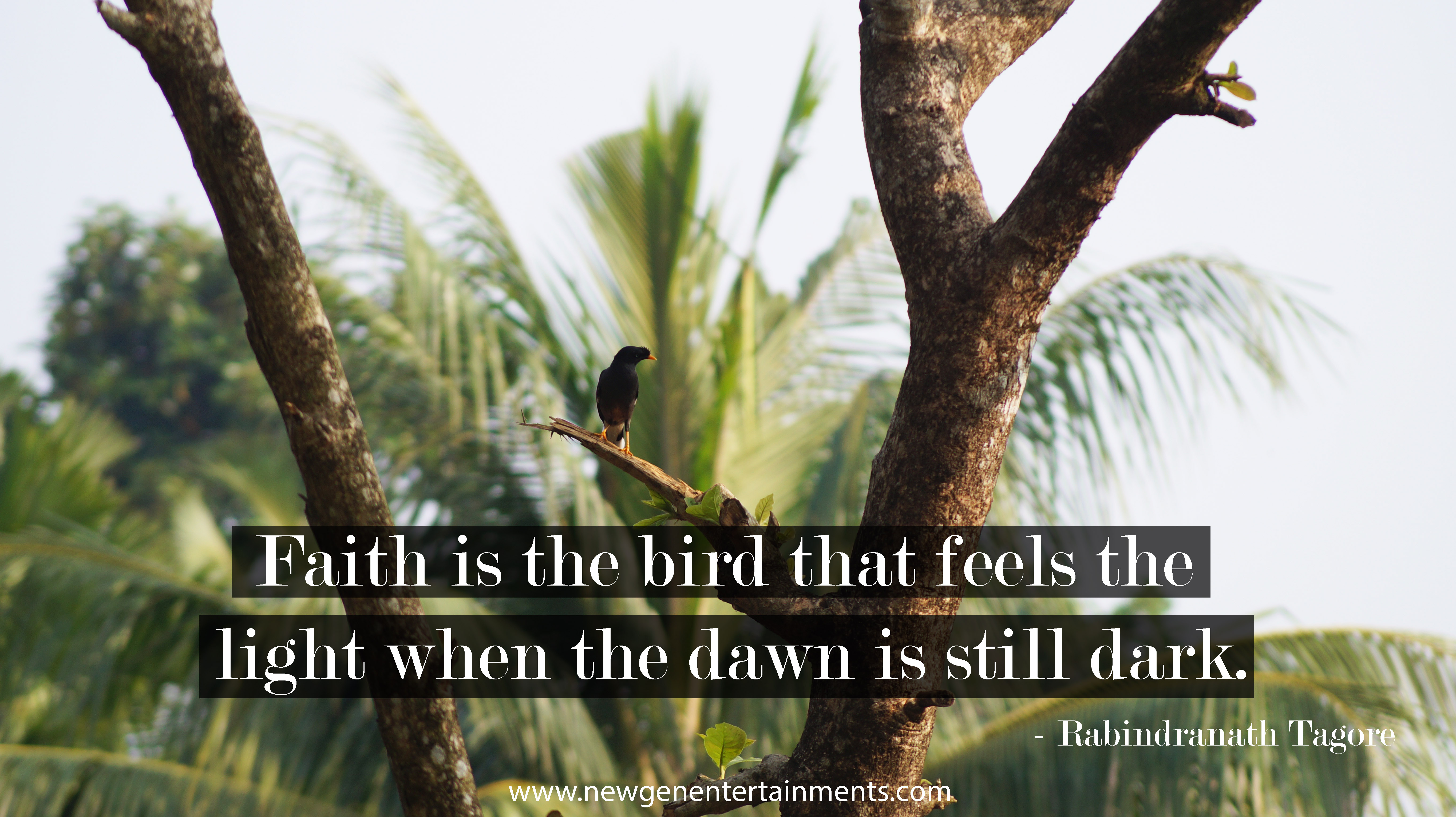 Faith is the bird that feels the light when the dawn is still dark