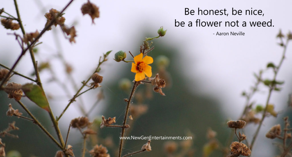 Be honest, be nice, be a flower not a weed